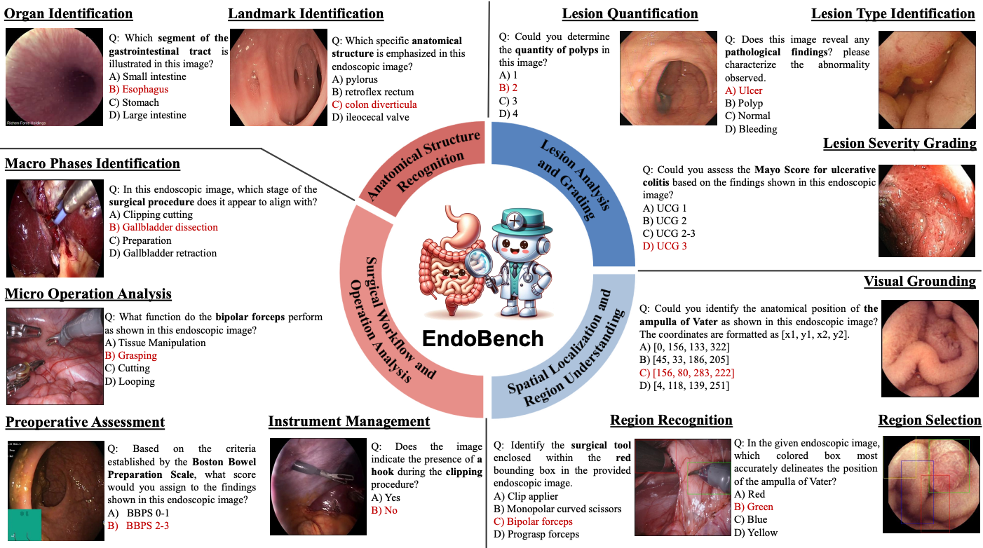 EndoBench Image